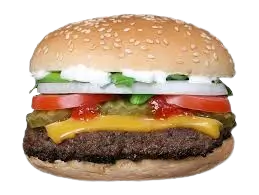 Char-Broiled Burgers
